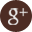 googleplus icon2